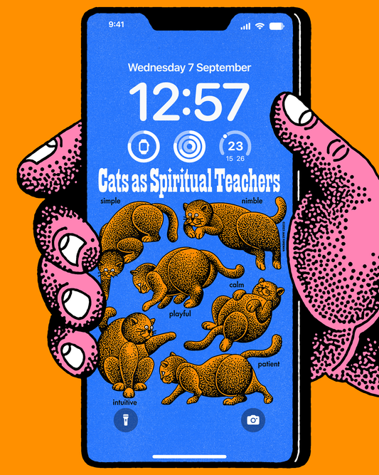 Cats iPhone Wallpaper